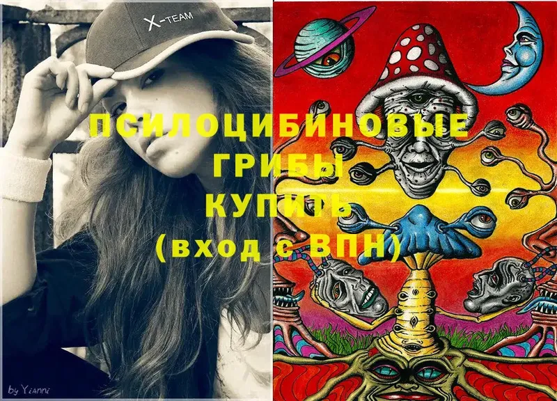 OMG как зайти  Лабинск  Галлюциногенные грибы Psilocybe 